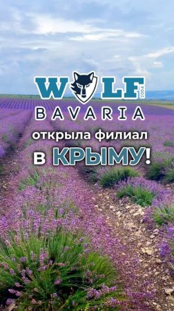 Открытие филиала Wolf Bavaria в Крыму