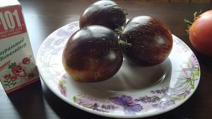 Заготовка семян томатов! Можно ли брать семена с зелёных плодов???
