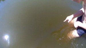 КУПАЕМСЯ В ГРЯЗНОЙ ВОДЕ