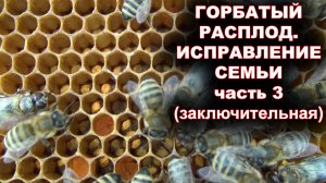 Горбатый расплод. Исправление семьи. часть 3.(заключительная).