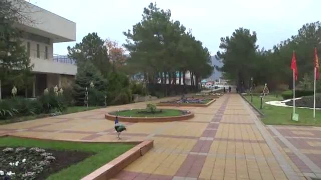 Санаторий "Голубая волна" (АЛРОСА) Геленджик смотреть онлайн
