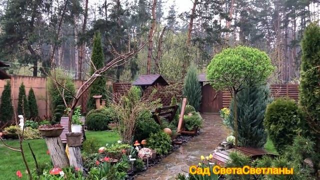 Красивый сад.Начало Мая .После дождя.Сад непрерывного цветения своими руками.Красивая Дача.Весна.