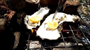 УСТРИЦЫ по ПРИМОРСКИ      (Лучшие рецепты морской походной кухни)