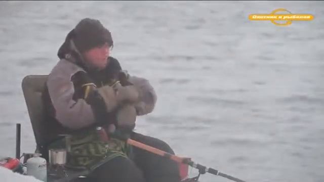 Ловля сложного леща,тактика ловли Английская донка с Алексеем Фадеевым смотреть онлайн