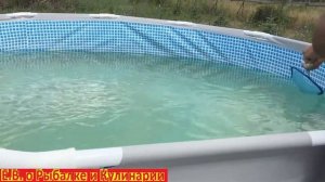 Сачок для чистки бассейна очень нужная вещь.  Полезная вещь для каркасного бассейна это сачок.