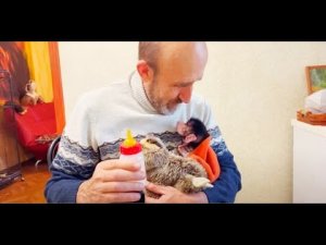 Влад кормит Степашка, а Люся пытается понять настолько ли красив её братик как она сама?