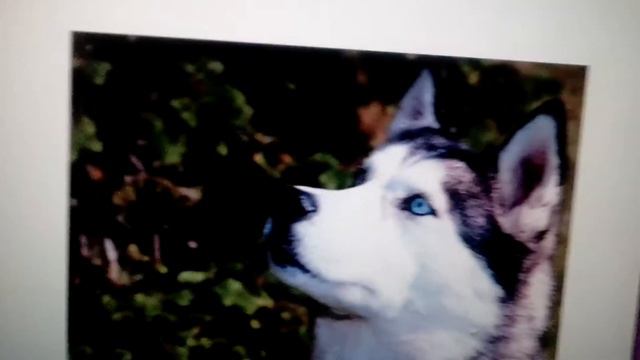 Мои воображаемые друзья смотреть онлайн