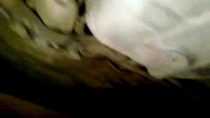 Лексус рх300,вид снизу