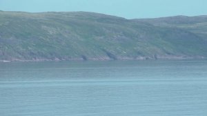 Заполярье - Баренцево море. Кольский полуостров - Лодейное - Териберка - видеозарисовка