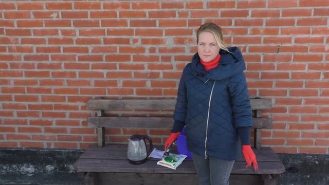 Зачем нужна побелка плодовых деревьев весной . смотреть онлайн