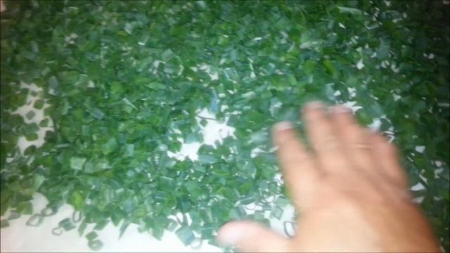 Заготовка зеленого лука на зиму смотреть онлайн