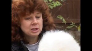 Какая порода собак лучше подходит для охраны