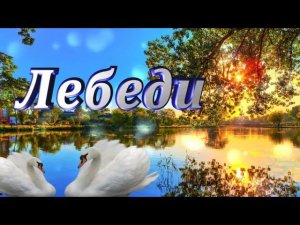 Лебеди. Клип на песню Руслана Алехно.