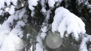 Зачем ты мне теперь нужна, я ухожу к другой