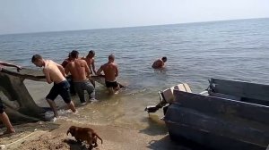 Промышленный лов бычка в Азовском море