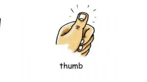 How to Pronounce Thumb in British English