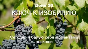 20 ДЕНЬ МАРАФОН ИЗОБИЛИЯ || 21 день медитаций || Дипак Чопра День 20