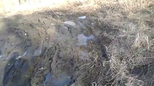 Toyota Voxy 4 WD в грязи