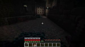 minecraft warden/deep dark city. Check the description*