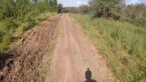 Спуск в Кесслерском лесу до симферопольского водохранилища