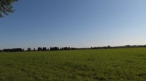 ? Томат БАБУШКИН СЕКРЕТ  |  Урожайный  |  Неустойчивый на заболевания, отменного вкуса