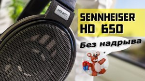 Sennheiser HD 650 обзор наушников