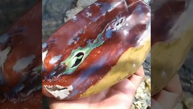 Cimalang agatized jasper, with rare colour variation from Garut, West Java, Indonesia смотреть онлайн