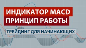 ИНДИКАТОР MACD - ПРИНЦИП РАБОТЫ / ДИВЕРГЕНЦИЯ / ТРЕЙДИНГ для НАЧИНАЮЩИХ