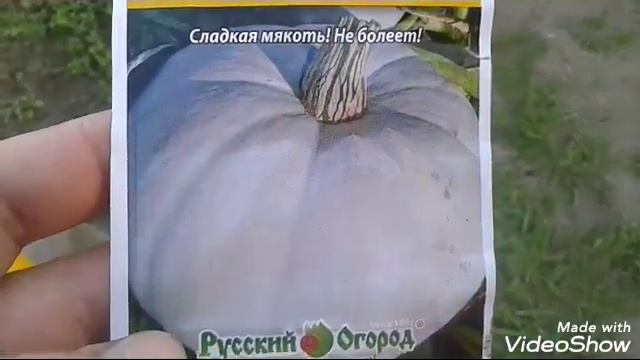 Баклажаны в "домиках"! Как убить портулак ? смотреть онлайн