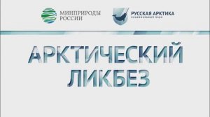 Арктический ликбез с Барбарой Шеннерляйн