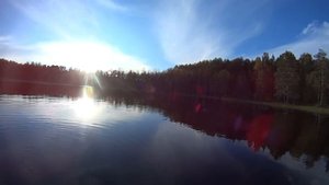 Болота, тайга, озера, рыбалка. Колошма и окрестности 2016.