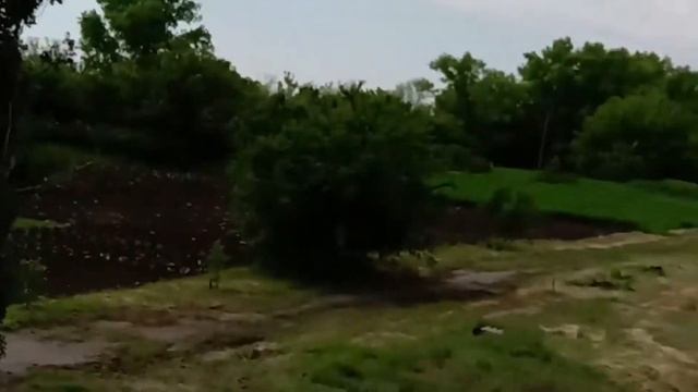 выгрузка семечки зав 40 смотреть онлайн