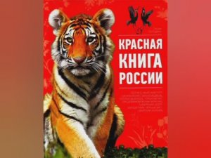 Экологический урок: детям о Красной книге
