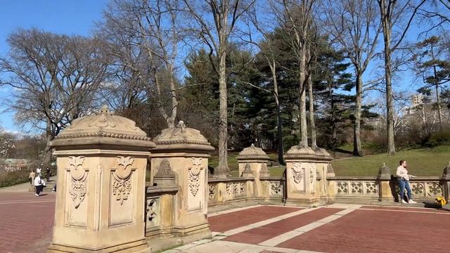 [4K]??NYC Spring Walk /Central Park. Full Cherry Blossoms & Flowers??Apr. 08 2022 смотреть онлайн