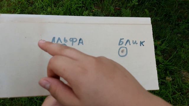 Обзор свето-шумовой пули "Блик" смотреть онлайн