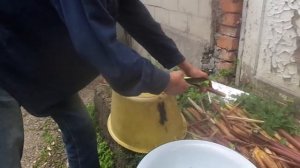 Как готовить бамбук - полезнейший продукт