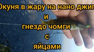 рыбалка на окуня в жару на нано джиг и гнездовье чомги с яицами