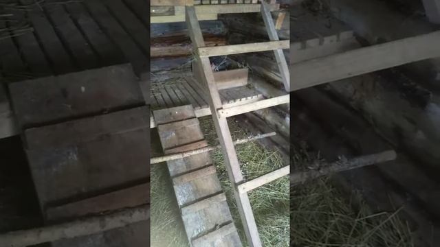 Переселение индоуток// вентиляция в сарае// утки и гнёзда смотреть онлайн
