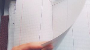 Минимализм и порядок? контрольный журнал Флай Леди. Как все успеваю? Да никак?