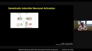 Investigating the underlying neural circuits that regulate female aggressive behavior