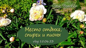 Место отдыха, спиреи и пионы | Vlog Дача как есть. Хроника 15.06.2023