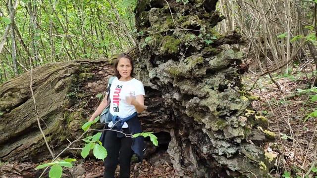 время остановилось в итальянской глубинке и крепость в горе, часть вторая смотреть онлайн