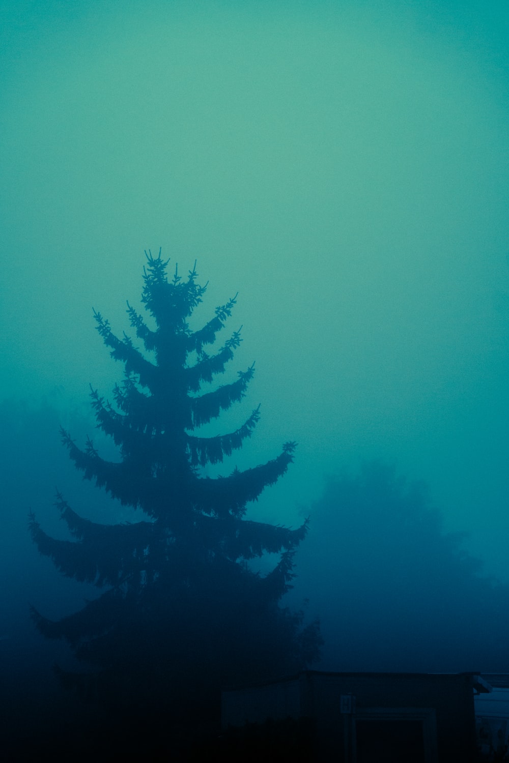 MrBogomol - Loop Station BOSS RC-505 — Son (Премьера трека, 2023) смотреть онлайн