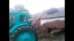 Т-40 АМ погрузка и вывоз навоза. самодельным погрузчиком 08.10.2017