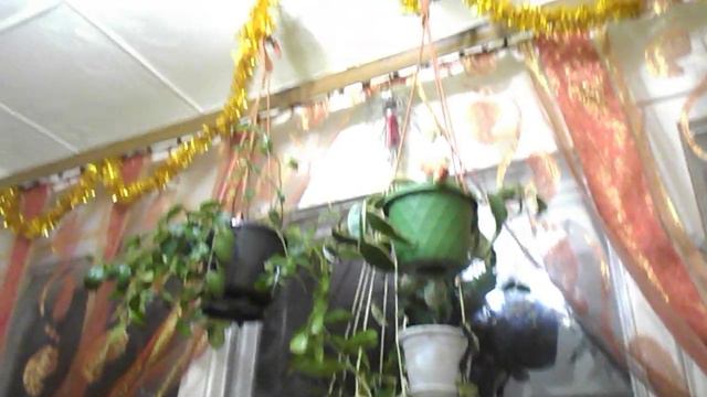 год Тигра смотреть онлайн