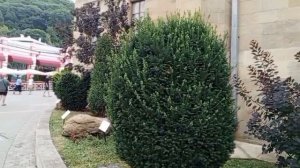 КИСЛОВОДСК2024 ПРОГУЛИВАЯСЬ ПОПАЛИ НА ЭКСКУРСИЮ.