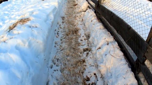 С ЧЕГО НАЧИНАЕТСЯ ДЕНЬ?//УТРО В ЛЕСУ//деревенские будни смотреть онлайн