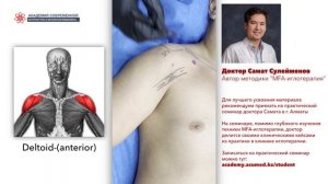 Сухая игла. Deltoid anterior. ДЕЛЬТОВИДНАЯ МЫШЦА. Безопасная постановка иглы.