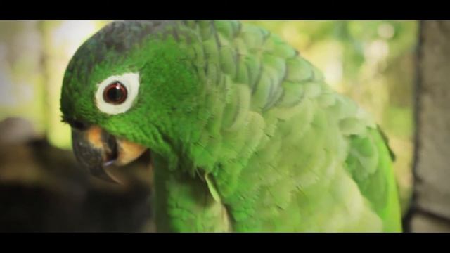 Canon T5i (700D) vs Canon 80D Cinematic look смотреть онлайн