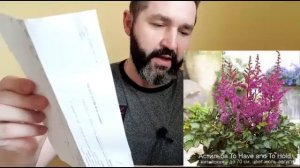 11 сортов Астильбы: обзор посылки из магазина "Ситцевый сад"